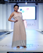 Tazeen Hassan's Collection
